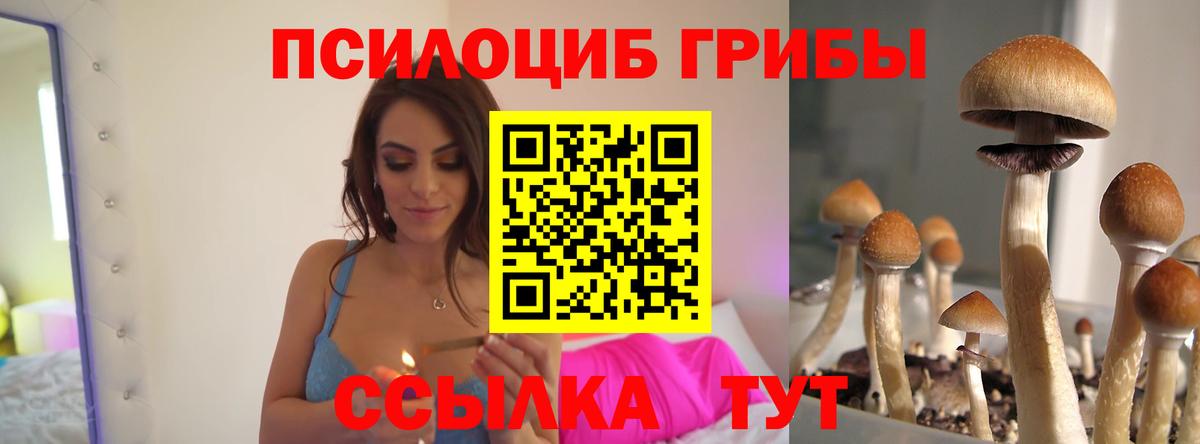 Обь  Псилоцибиновые грибы прущие грибы  Вход с VPN 